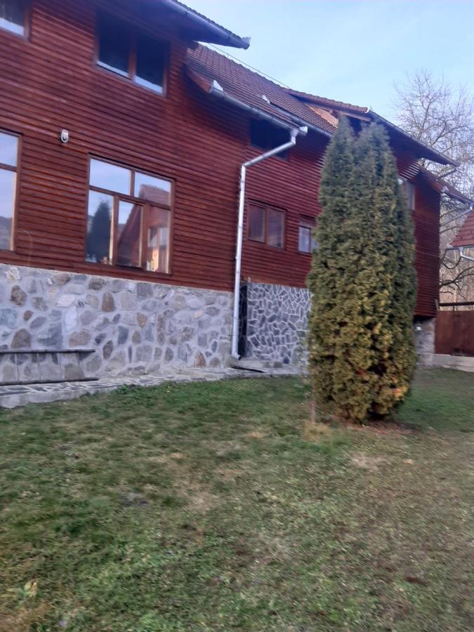 Pensiunea Codru Sălciua de Jos Eksteriør bilde